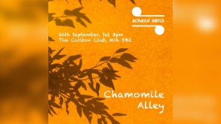 Between Notes - Chamomile Alley