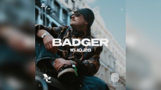 Badger In The Wild
