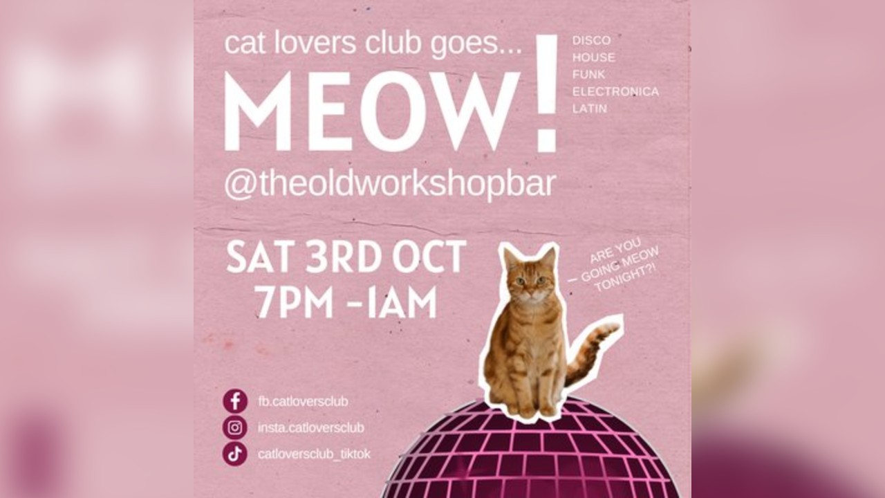 Cat Lovers Club goes... MEOW At the Old Workshop