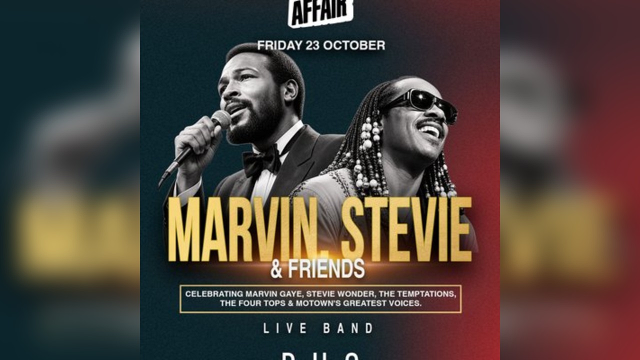 Soul Affair Marvin. Stevie & Friends