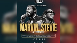 Soul Affair Marvin. Stevie & Friends
