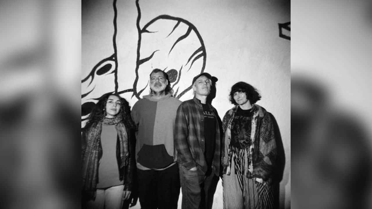 Jeffrey Lewis & the Voltage