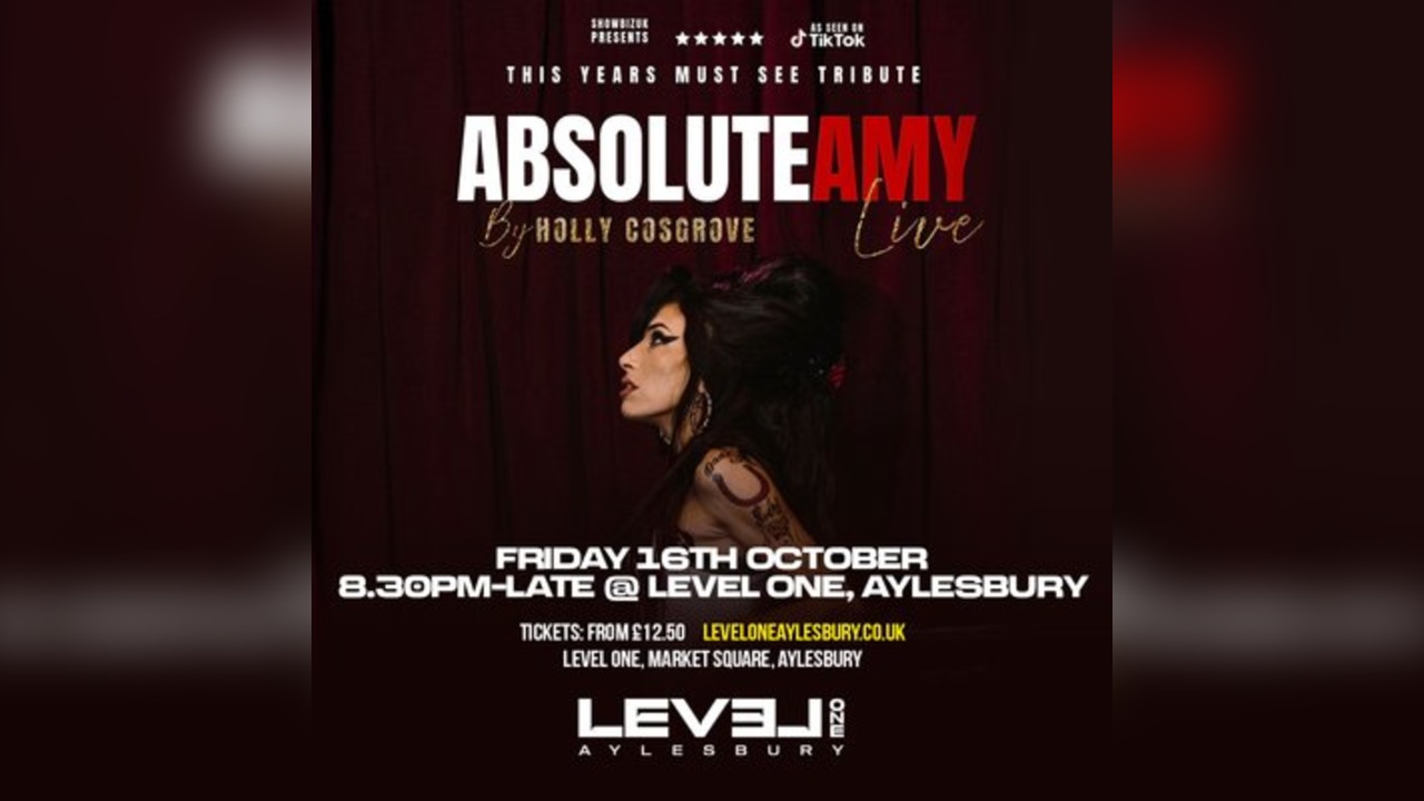 Absolute Amy: Live in Aylesbury