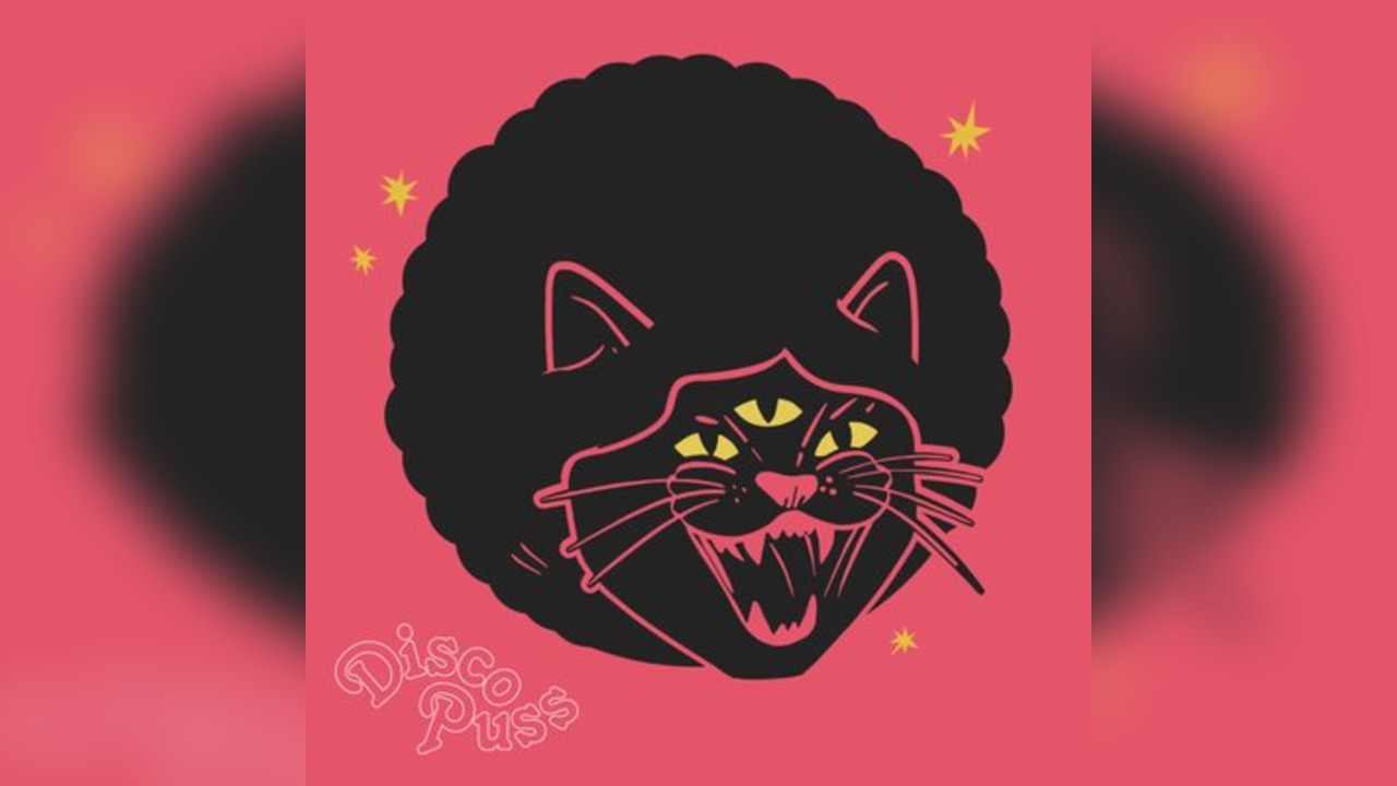 DISCO PUSS: Freshers' Fiesta - Bring Your Own Booze & Grooves