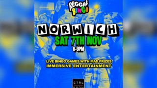 Reggae Bingo - Norwich - Sat 7th Nov