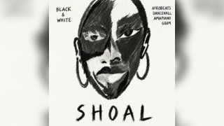 Shoal
