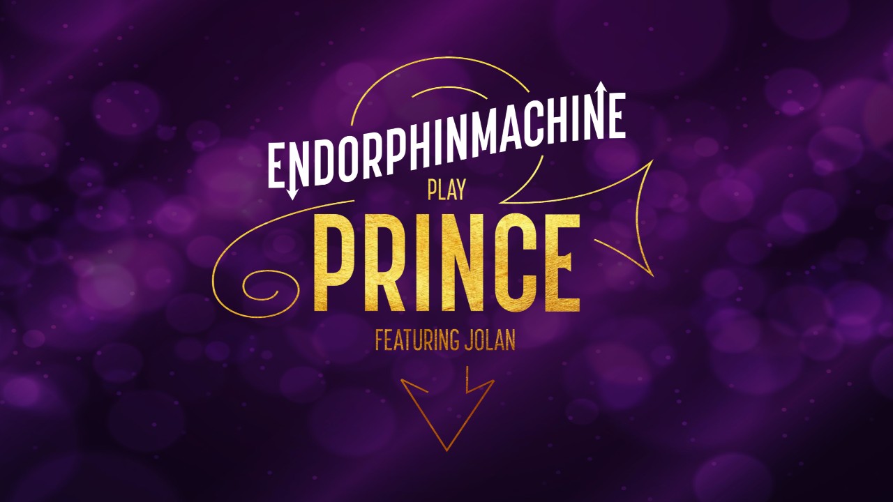 The Prince Experience...Endorphinmachine