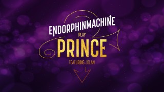 The Prince Experience - Endorphinmachine